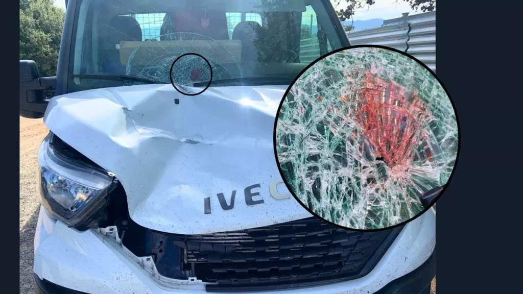 Absuelto de atropellar y matar a un camionero porque pensó que era un jabalí