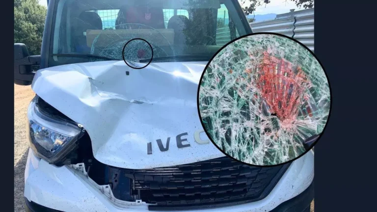 Absuelto de atropellar y matar a un camionero porque pensó que era un jabalí